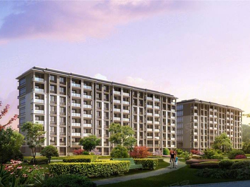 浙江省杭州市临安区凤凰府邸